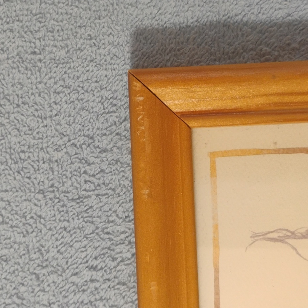 Pictures! - Picture 9 of 15